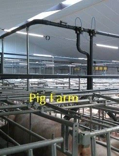 pig farm application