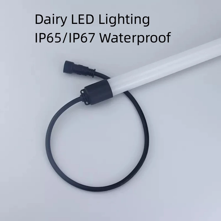 dairy led lighting dairy led lighting