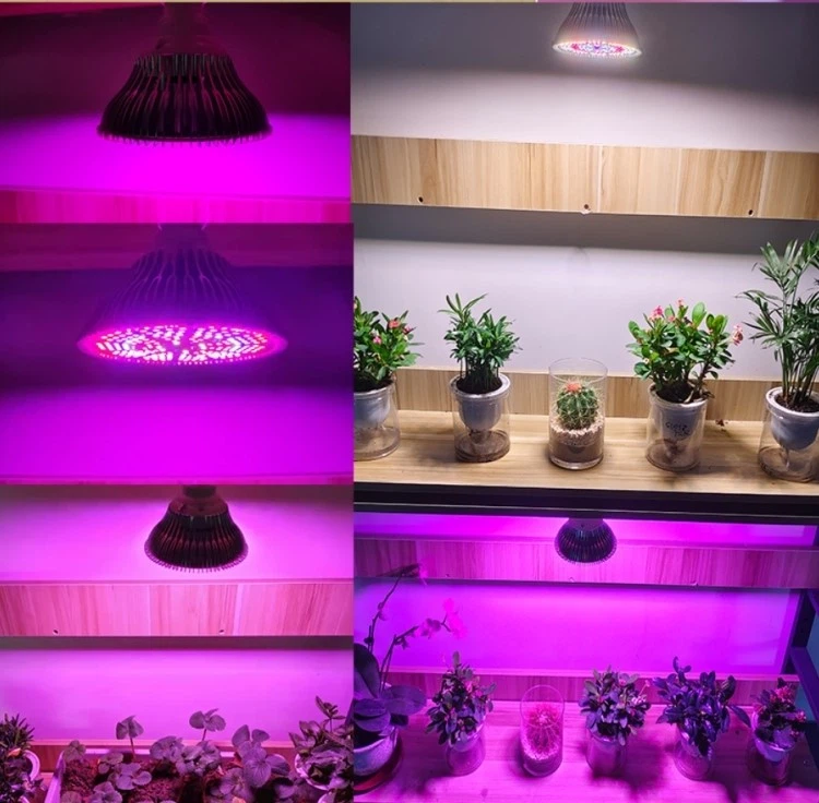 LED red lights bulbs LED red lights bulbs