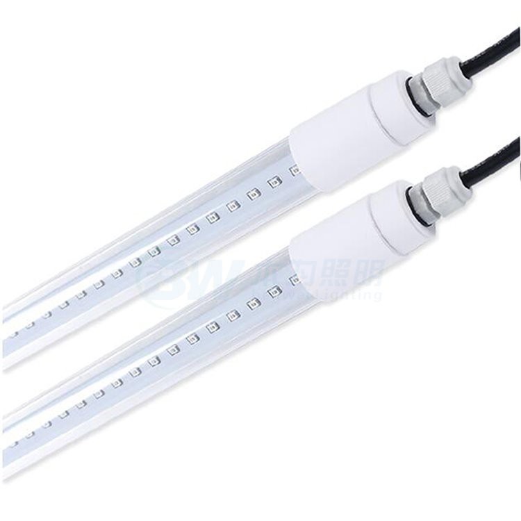 Light For Egg Production