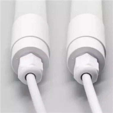 چکن ہاؤس لائٹس