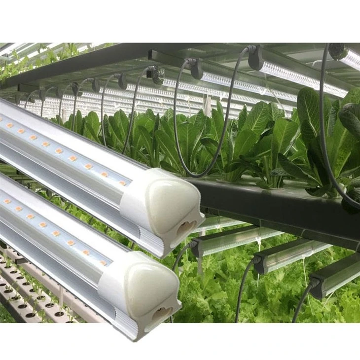 Plant Light For Indoor Plants