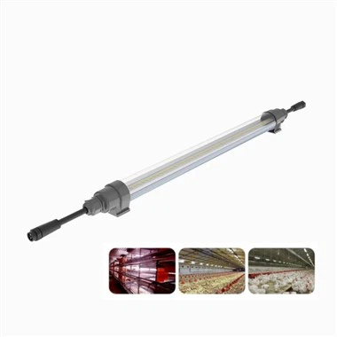 مرغیاں بچھانے کے لیے مصنوعی روشنی