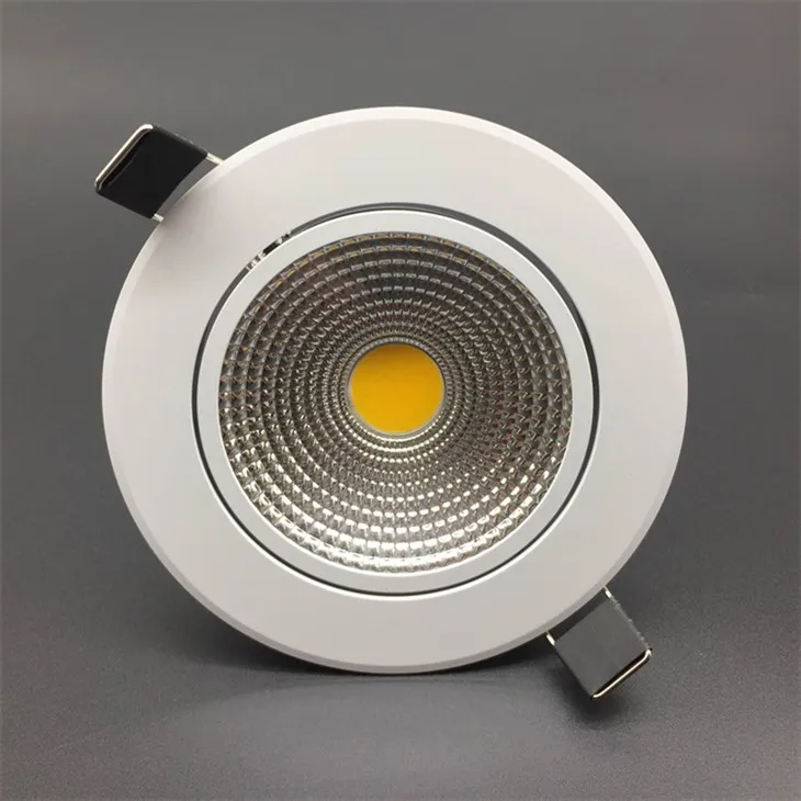 Adjustable Accent Light
