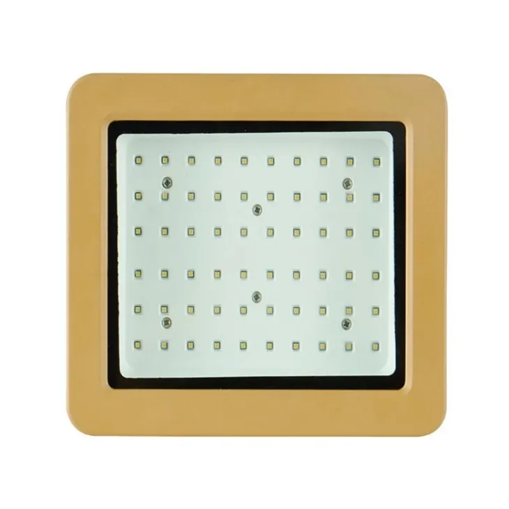 Best Marine Flood Lights