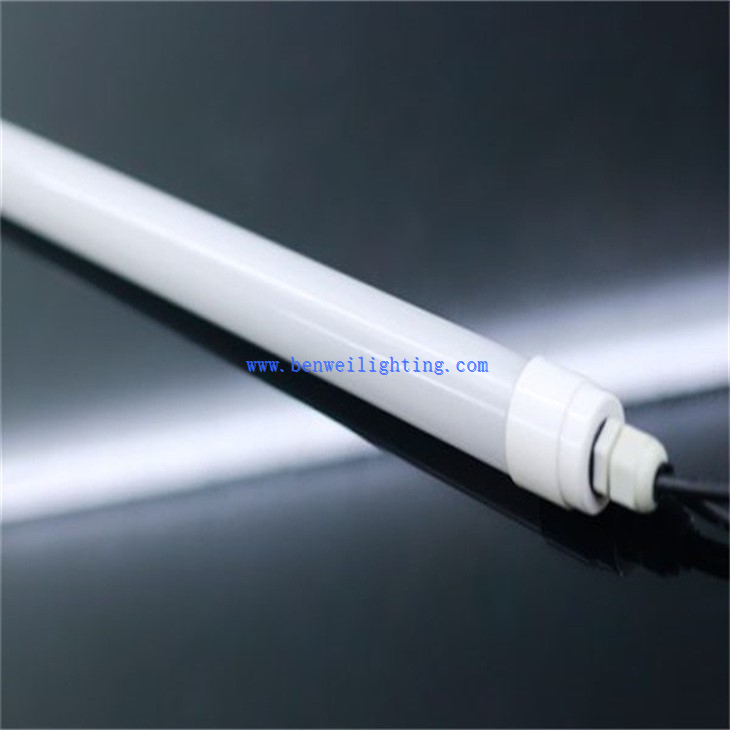 Broiler Rearing Light (4)