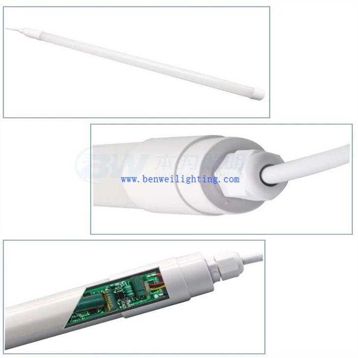 Broiler Rearing Light (3)