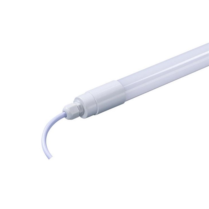 Chicken Light With 20w
