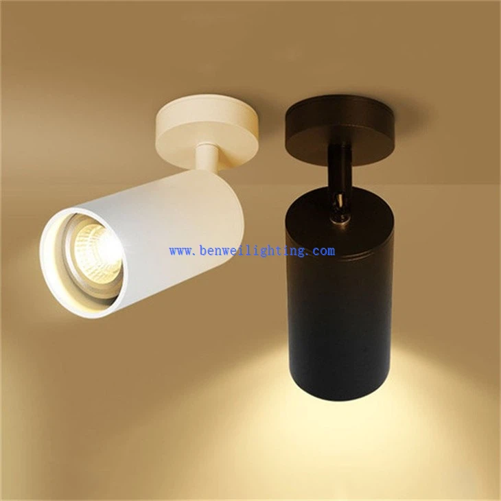 Focus Light (1)