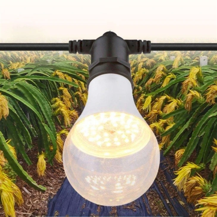 High-CRI Full Spectrum LED Plant Light price