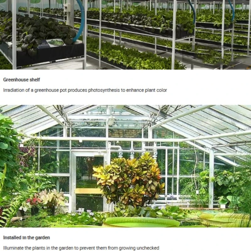 Full Spectrum T8 Led Grow Light Full Spectrum T8 Led Grow Light