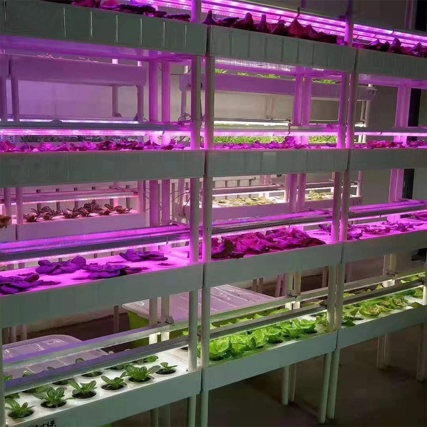 Grow T8A18