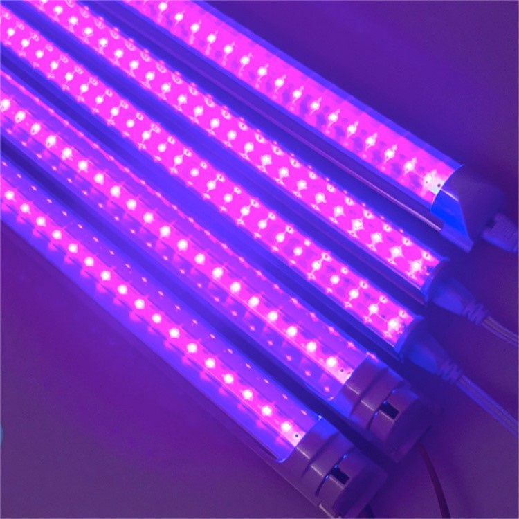 395nm UV Lamp 2
