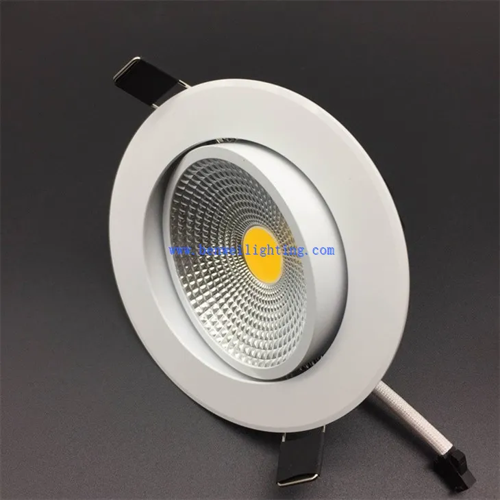 Living Room Directional Downlight (4)