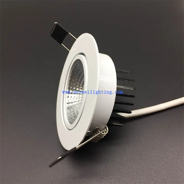Living Room Directional Downlight (5)