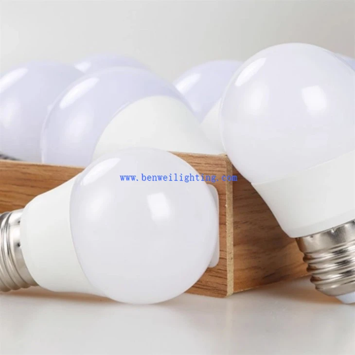 Practical LED Indoor Bulb (3)