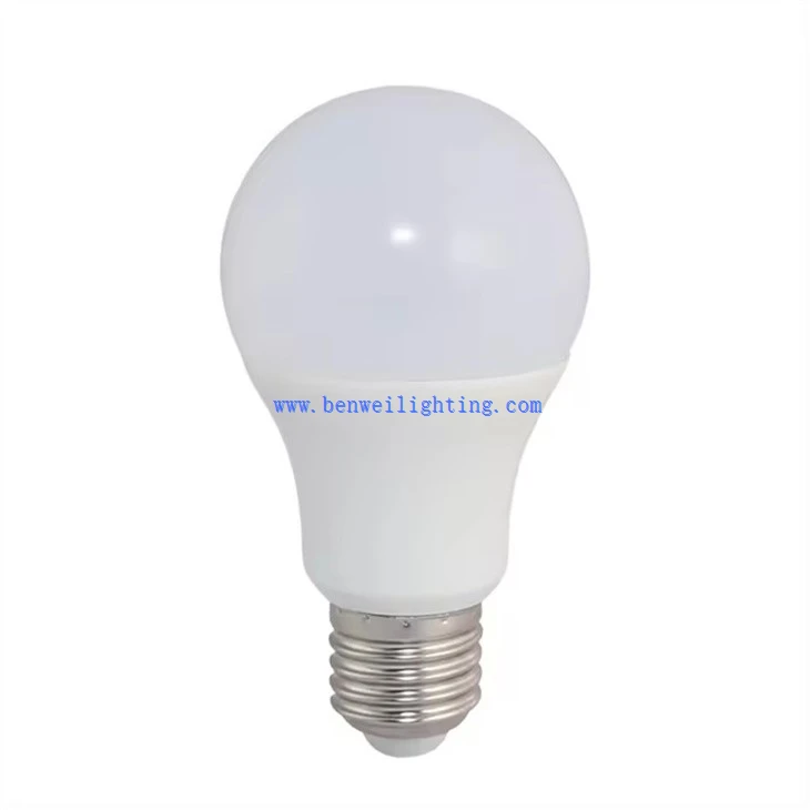 Practical LED Indoor Bulb (5)