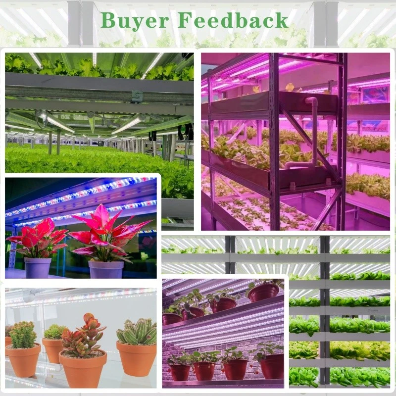 T8 Plant Led Grow Lighting T8 Plant Led Grow Lighting