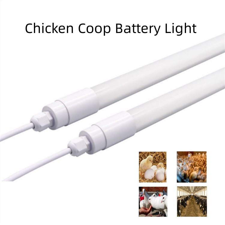 chicken coop battery light - chicken coop battery light -