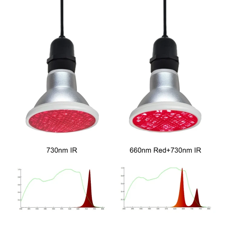 LED Grow Light