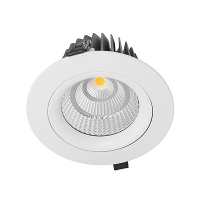 Led Downlight Rgb